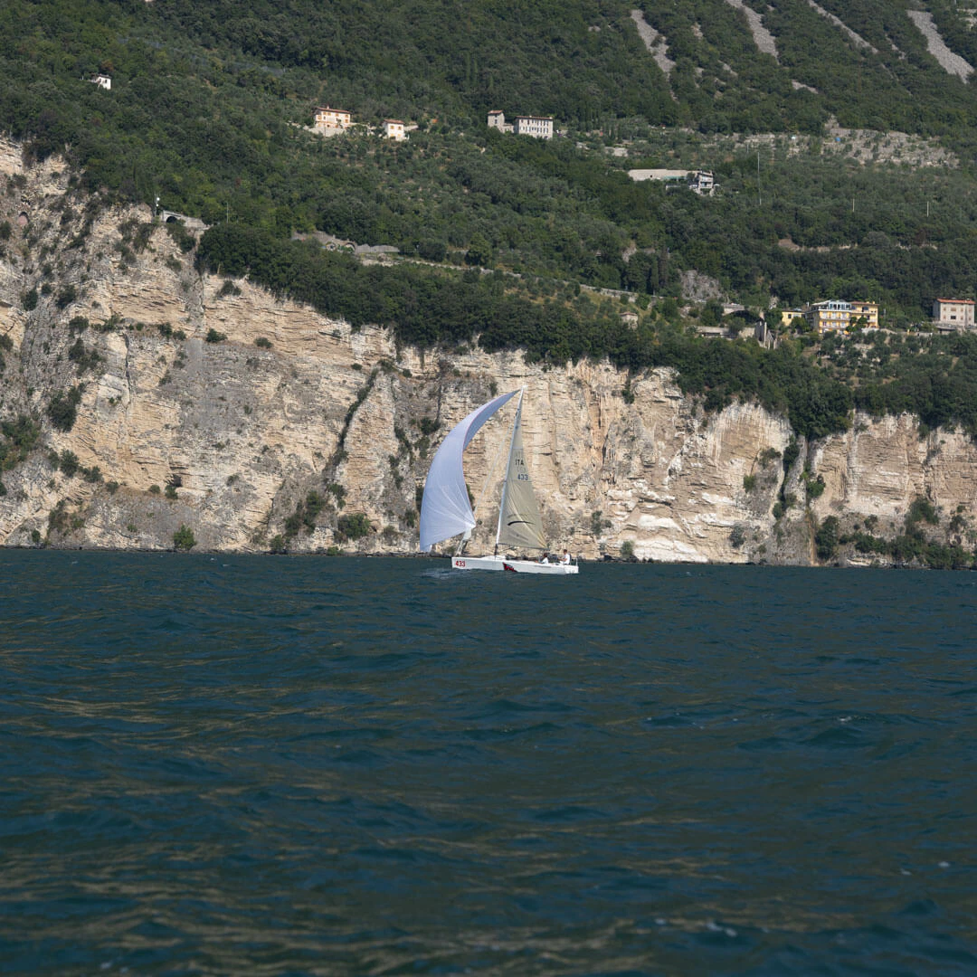 immagine catamarano