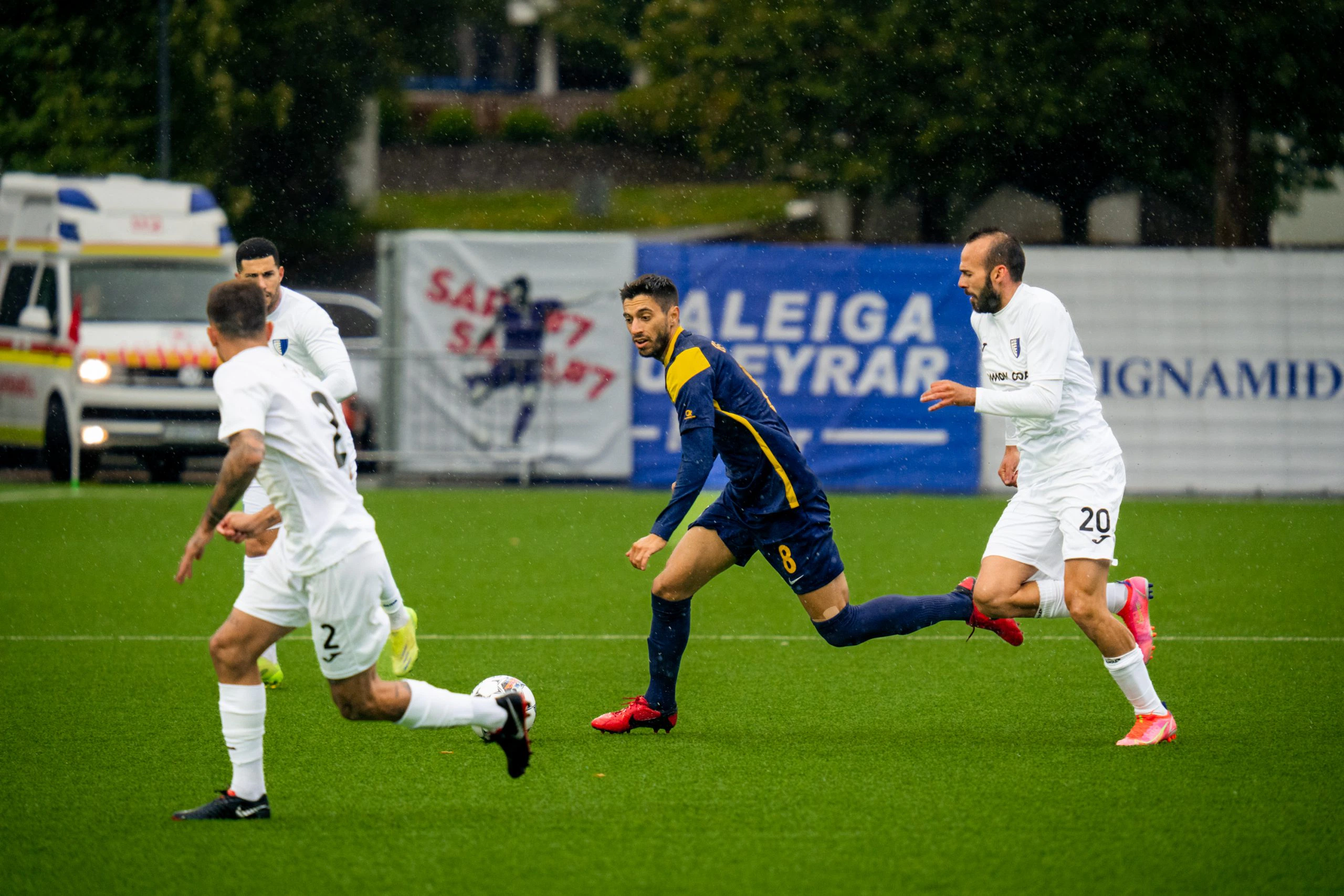 immagine dribbling fiorita