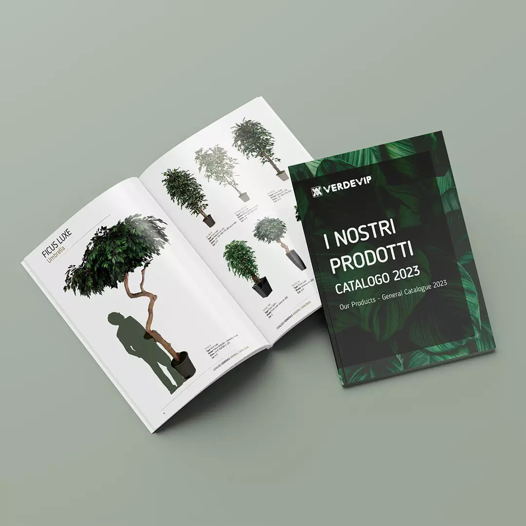 immagine catalogo verdevip
