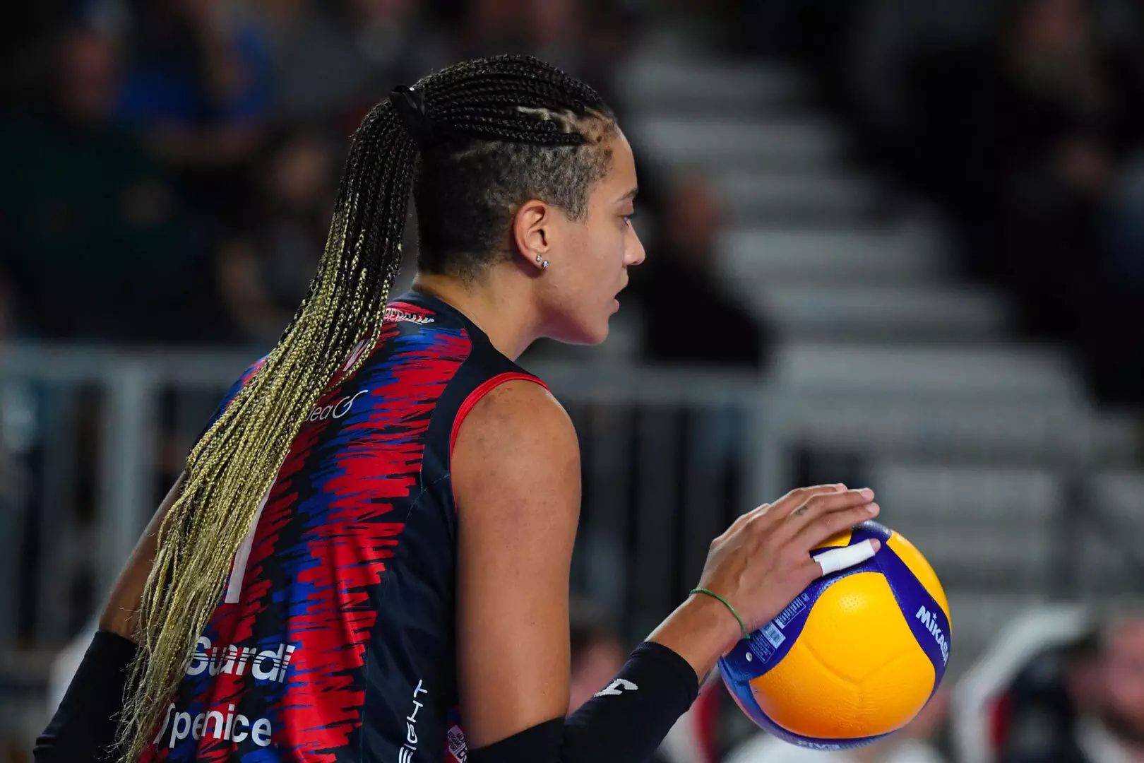 immagine pernice agenzia di comunicazione bergamo sponsor volley